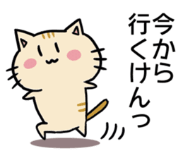 hiroshima cat Sticker sticker #7633107