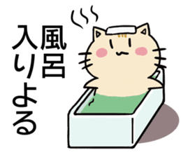 hiroshima cat Sticker sticker #7633121