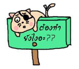 Ask?..(I am a cat) sticker #7633148