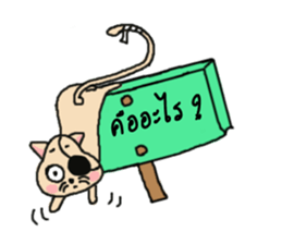 Ask?..(I am a cat) sticker #7633170