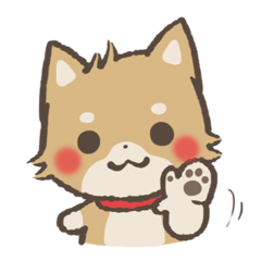 mild-Shiba-Inu Vol.3