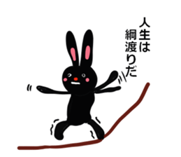 On your side, the black rabbit.2nd. sticker #7638680