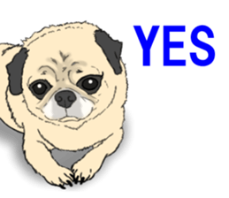 Pug dog Sticker vol.2 sticker #7639788