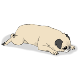 Pug dog Sticker vol.2 sticker #7639794