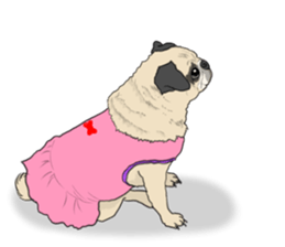 Pug dog Sticker vol.2 sticker #7639797