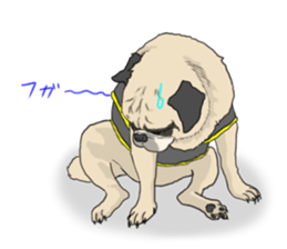 Pug dog Sticker vol.2 sticker #7639800