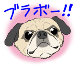 Pug dog Sticker vol.2 sticker #7639804