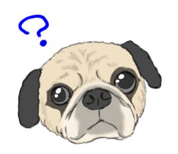 Pug dog Sticker vol.2 sticker #7639805
