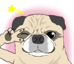 Pug dog Sticker vol.2 sticker #7639808