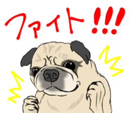 Pug dog Sticker vol.2 sticker #7639809