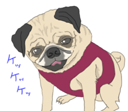 Pug dog Sticker vol.2 sticker #7639813
