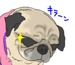 Pug dog Sticker vol.2 sticker #7639814