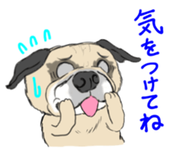 Pug dog Sticker vol.2 sticker #7639817