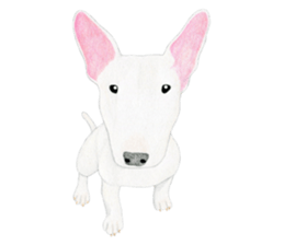 Bull Terrier Sticker (English) sticker #7641436
