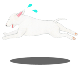 Bull Terrier Sticker (English) sticker #7641443