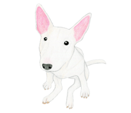 Bull Terrier Sticker (English) sticker #7641448
