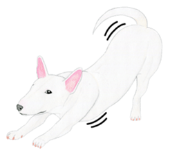 Bull Terrier Sticker (English) sticker #7641458