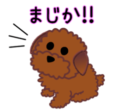 cynical toy poodle sticker #7642140