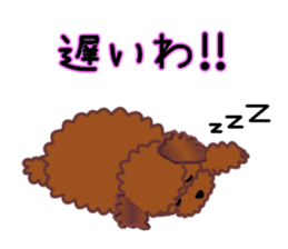 cynical toy poodle sticker #7642142