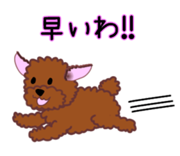 cynical toy poodle sticker #7642143