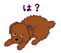 cynical toy poodle sticker #7642144