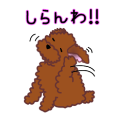 cynical toy poodle sticker #7642145