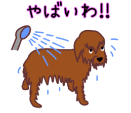 cynical toy poodle sticker #7642147