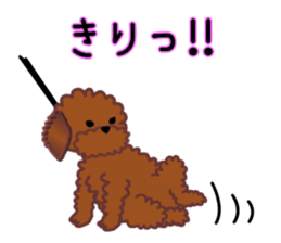 cynical toy poodle sticker #7642148