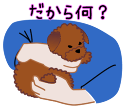 cynical toy poodle sticker #7642149