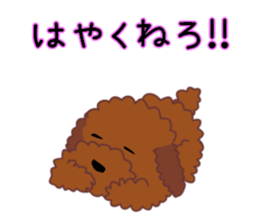 cynical toy poodle sticker #7642151