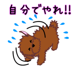 cynical toy poodle sticker #7642152