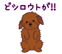 cynical toy poodle sticker #7642154