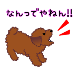 cynical toy poodle sticker #7642157