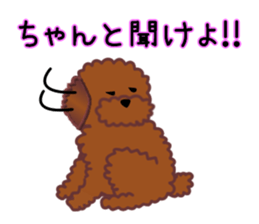 cynical toy poodle sticker #7642160