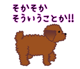 cynical toy poodle sticker #7642162