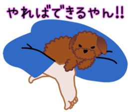 cynical toy poodle sticker #7642164