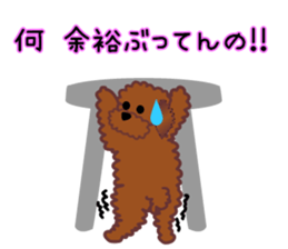 cynical toy poodle sticker #7642168