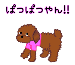 cynical toy poodle sticker #7642169