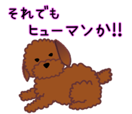 cynical toy poodle sticker #7642171