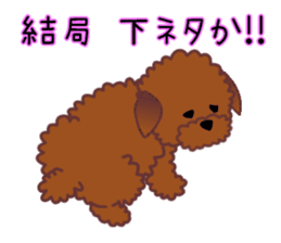 cynical toy poodle sticker #7642172