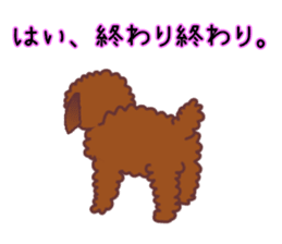 cynical toy poodle sticker #7642174