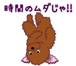 cynical toy poodle sticker #7642175