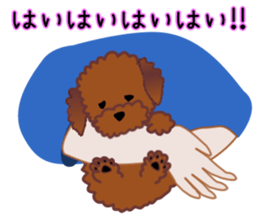 cynical toy poodle sticker #7642177