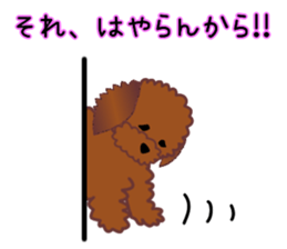 cynical toy poodle sticker #7642179