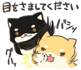 firmly thing Shiba Inu sticker #7645794