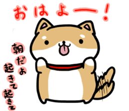 shiitan japsnese midget shiba sticker #7648220