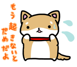 shiitan japsnese midget shiba sticker #7648222