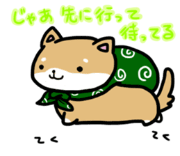 shiitan japsnese midget shiba sticker #7648225