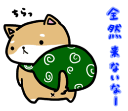 shiitan japsnese midget shiba sticker #7648226
