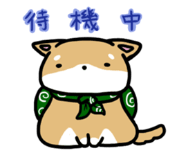 shiitan japsnese midget shiba sticker #7648227